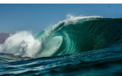 Integrated Emotions: Feelings Are Allies